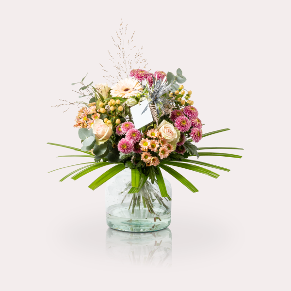 Product Image primary 1